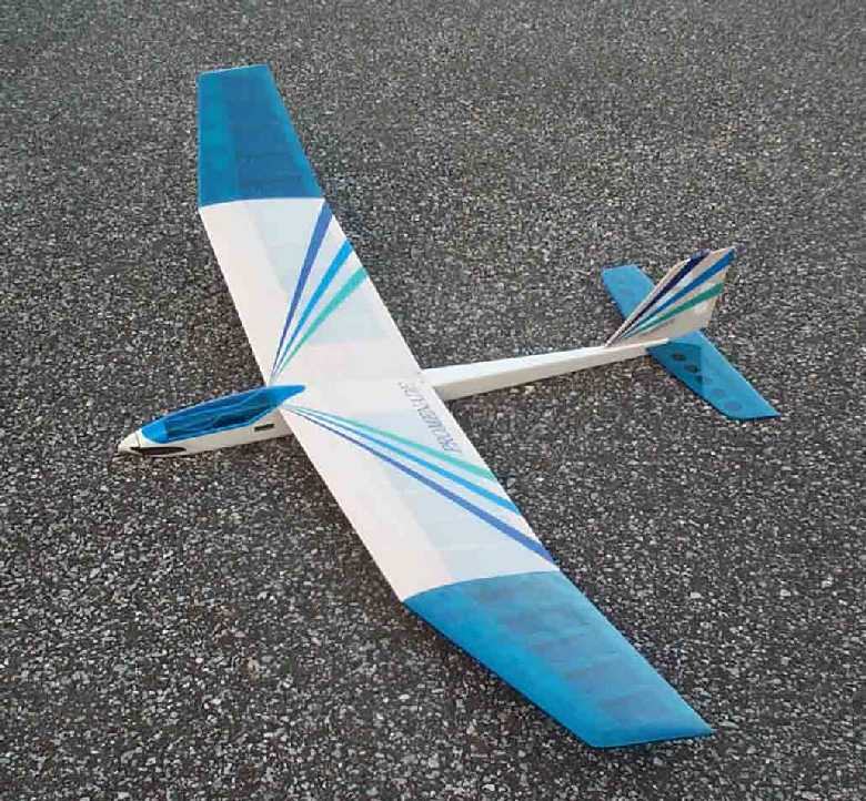 ラジコングライダーキット MINIMOA 翼3mクラス 巨大なスケールモデル 