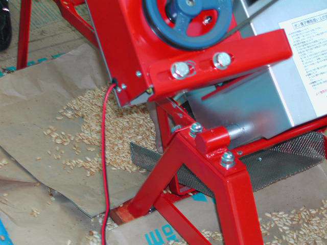 ���΂����`