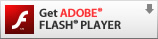 Adobe Flash PlayerΥ󥹥ȡ